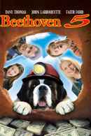 Beethoven's 5th Poster 5