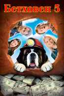 Beethoven's 5th Poster 7