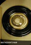 Beethoven’s Hair Poster 5