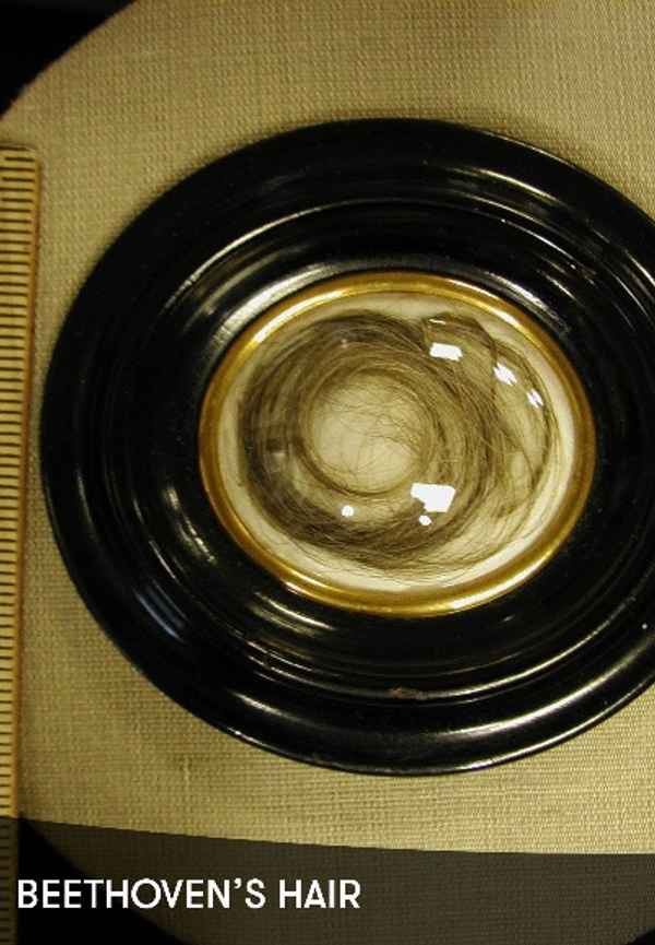 Beethoven’s Hair Poster 5