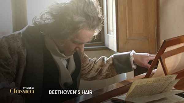 Beethoven’s Hair Poster 2