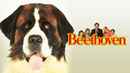 Beethoven: Story Of A Dog Poster 3