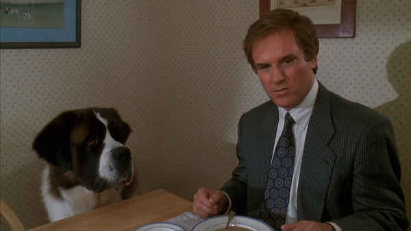 Beethoven: Story Of A Dog Poster 1