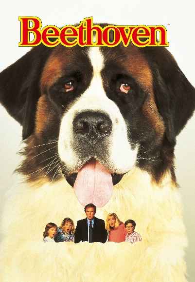 Beethoven: Story Of A Dog