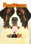 Beethoven: Story Of A Dog Poster 4