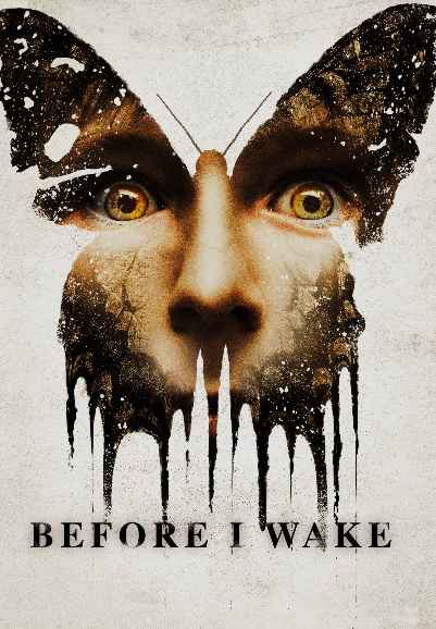 Before I Wake