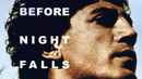 Before Night Falls Poster 1