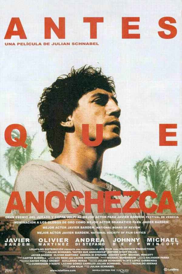 Before Night Falls Poster 4