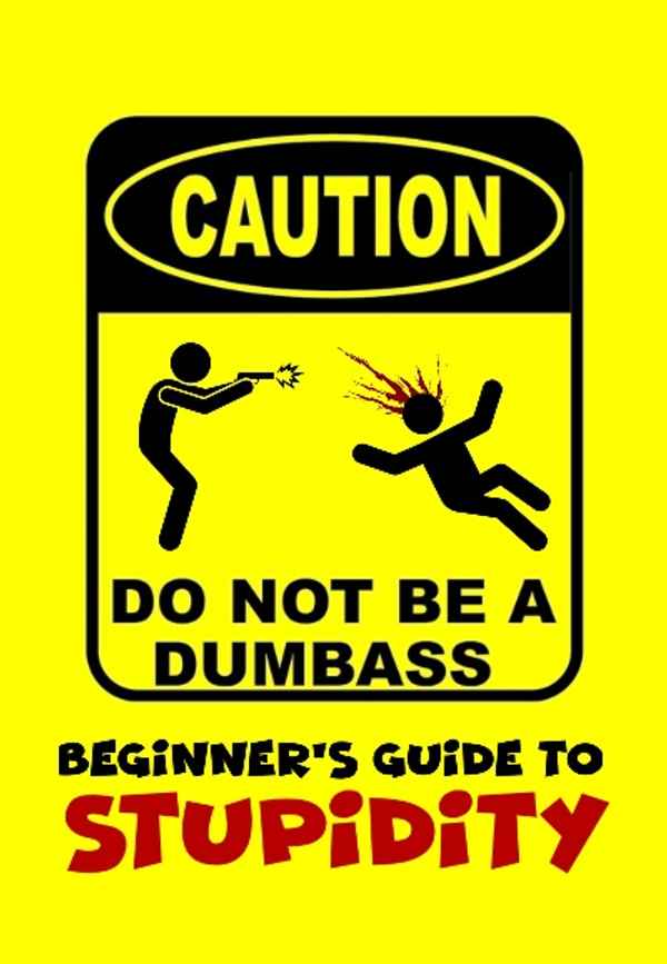 Beginner's Guide To Stupidity Poster 2