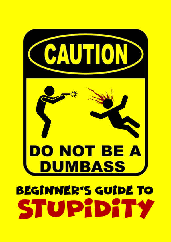 Beginner's Guide To Stupidity Poster 1
