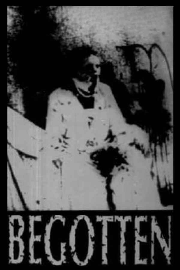 Begotten Poster 5
