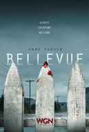 Bellevue Poster 6