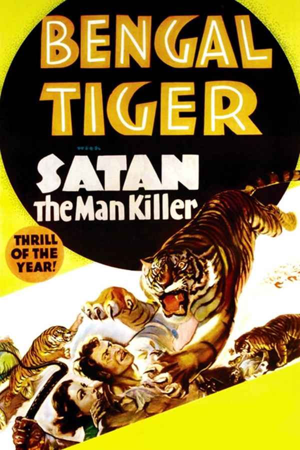Bengal Tiger Poster 2