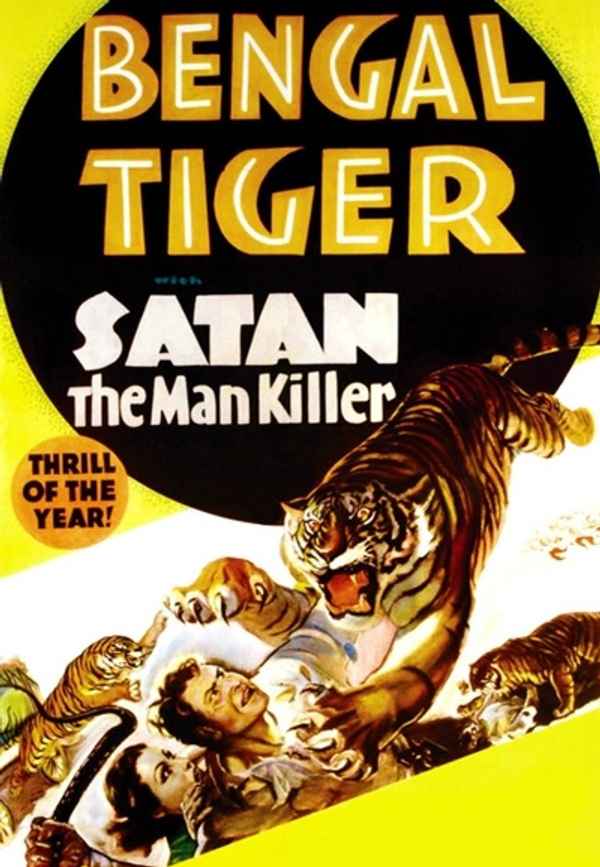 Bengal Tiger Poster 3