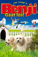 Benji: Off the Leash! Poster 4