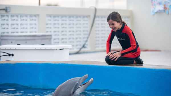 Bernie the Dolphin 2 Poster 1