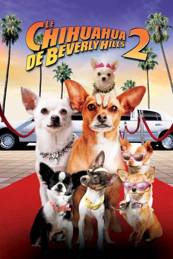 Beverly Hills Chihuahua 2 Poster 3
