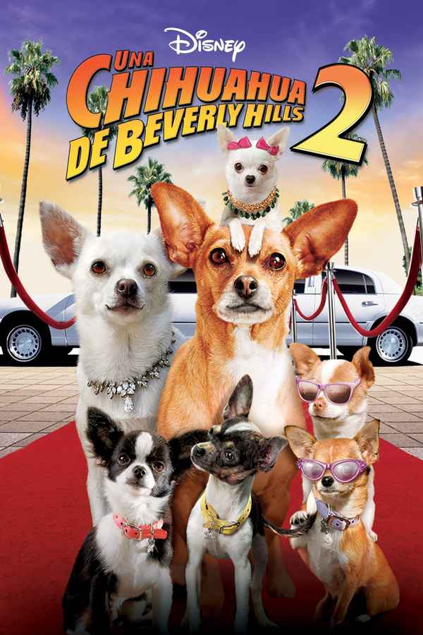 Beverly Hills Chihuahua 2 Poster 4