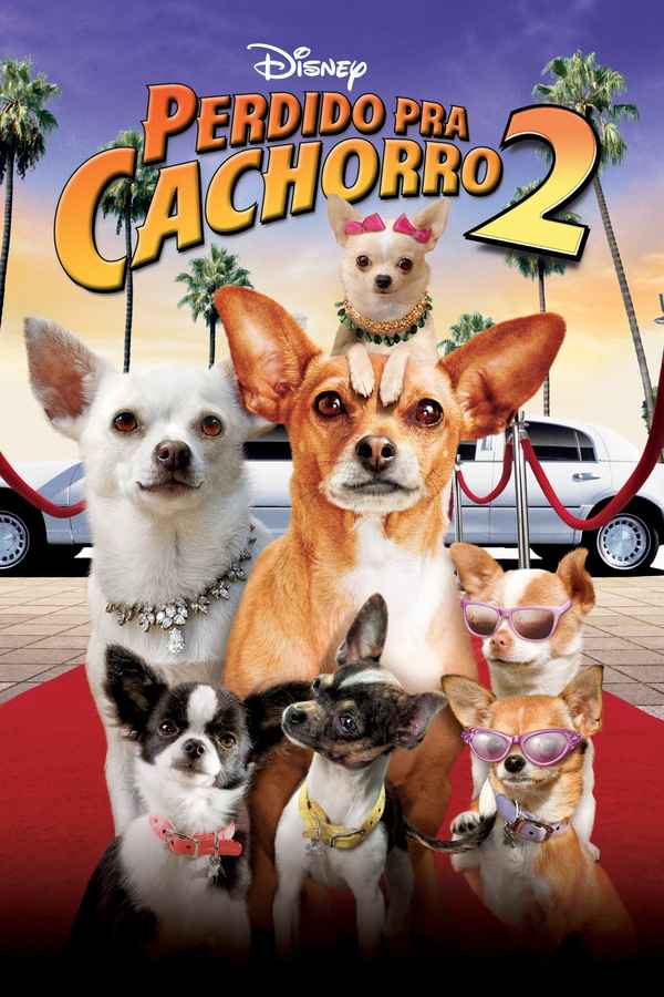 Beverly Hills Chihuahua 2 Poster 5