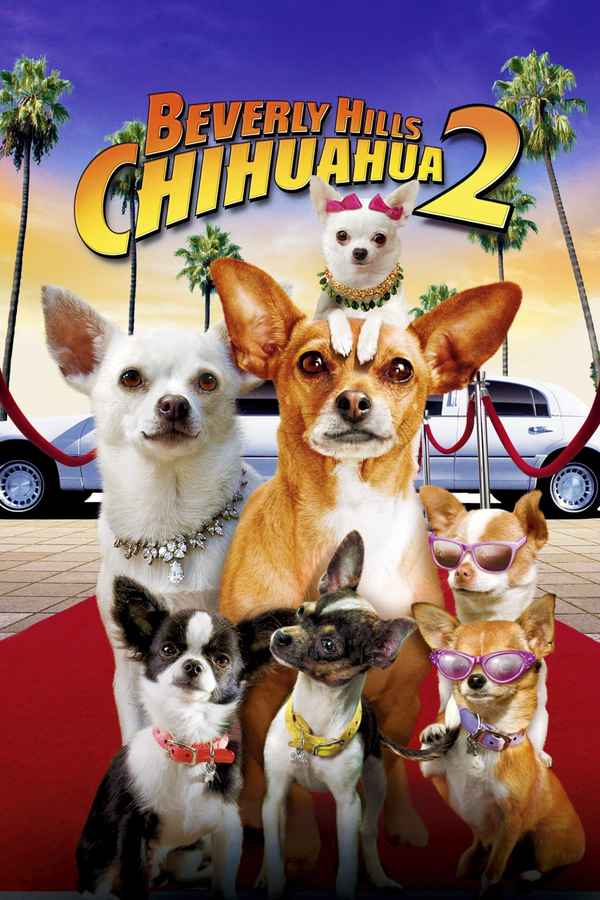Beverly Hills Chihuahua 2 Poster 6
