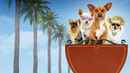 Beverly Hills Chihuahua Poster 4