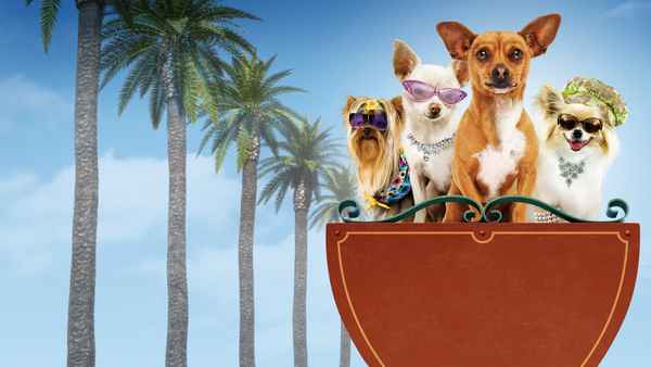 Beverly Hills Chihuahua Poster 4