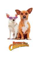 Beverly Hills Chihuahua Poster 2