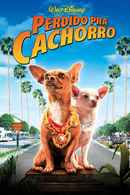 Beverly Hills Chihuahua Poster 3