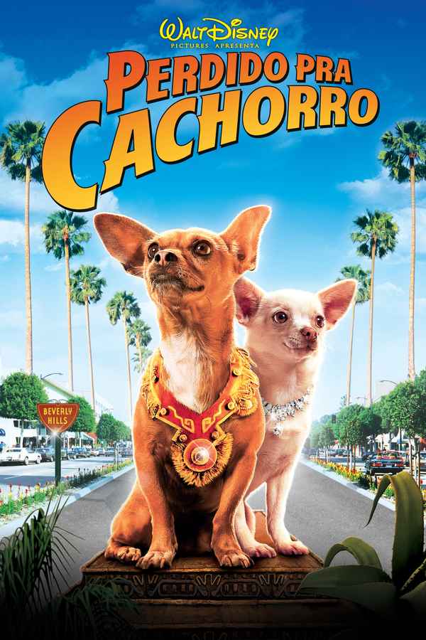 Beverly Hills Chihuahua Poster 3