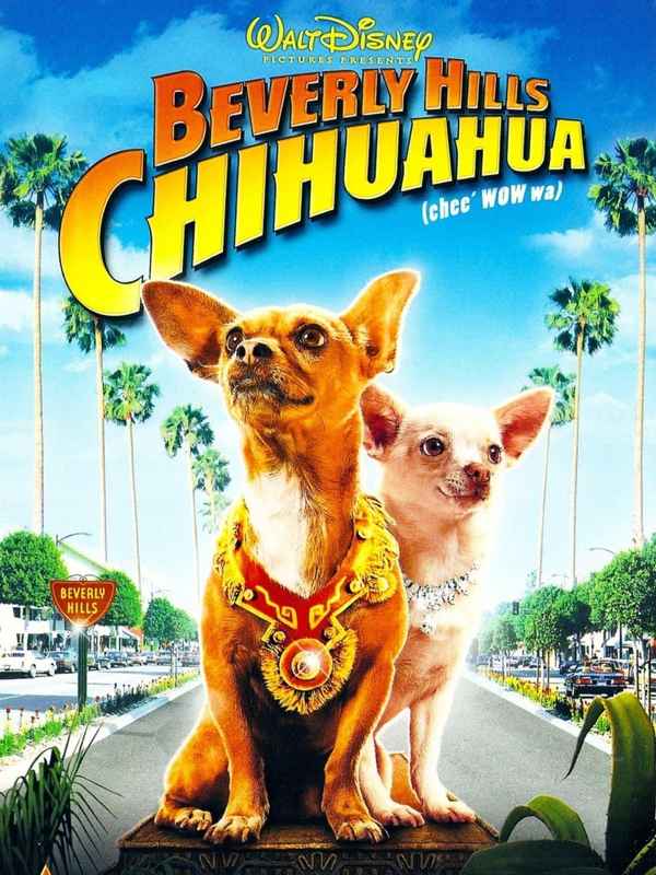 Beverly Hills Chihuahua Poster 6