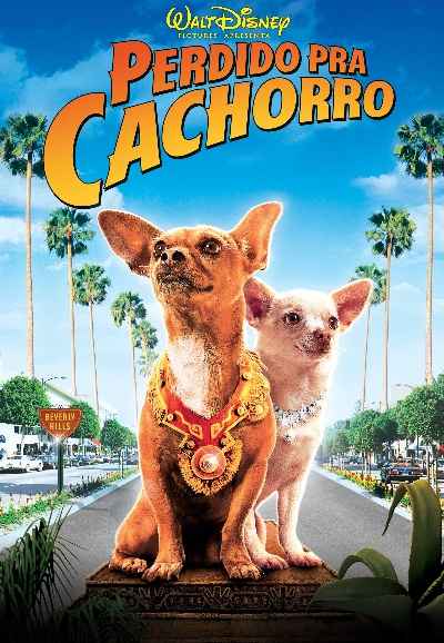 Beverly Hills Chihuahua