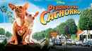 Beverly Hills Chihuahua Poster 1