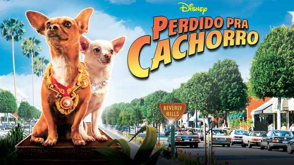 Beverly Hills Chihuahua Poster 1