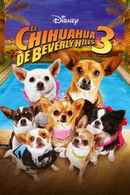 Beverly Hills Chihuahua 3: Viva la Fiesta! Poster 7