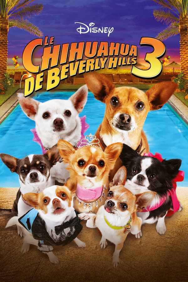 Beverly Hills Chihuahua 3: Viva la Fiesta! Poster 7