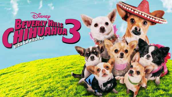 Beverly Hills Chihuahua 3: Viva la Fiesta! Poster 4