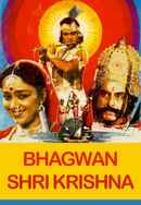 Bhagwan Shri Krishna Poster 5