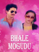 Bhale Mogudu Poster 2