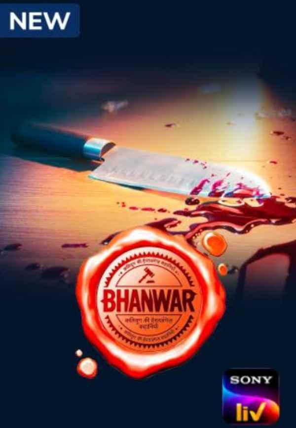 Bhanwar Poster 6
