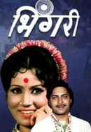 Bhingari Poster 6