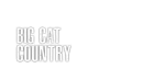 Big Cat Country Poster 1