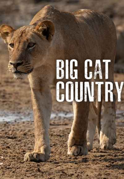 Big Cat Country