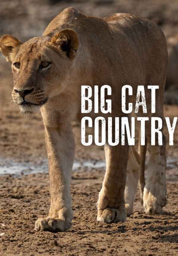 Big Cat Country Poster 6