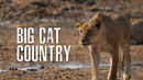 Big Cat Country Poster 3