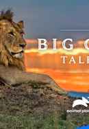 Big Cat Tales Poster 6