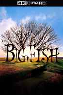 Big Fish Poster 5