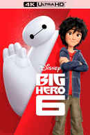 Big Hero 6 Poster 5