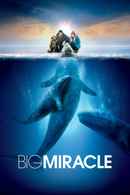 Big Miracle Poster 4