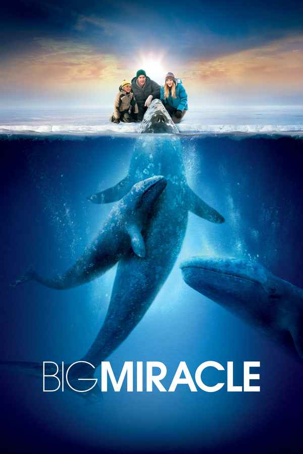 Big Miracle Poster 4