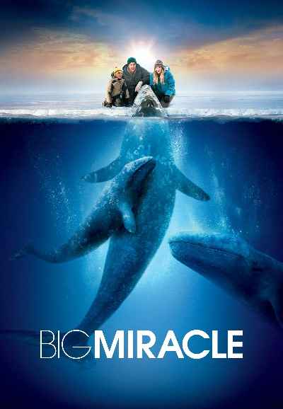 Big Miracle